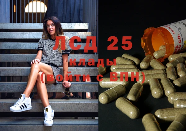 PSILOCYBIN Армянск